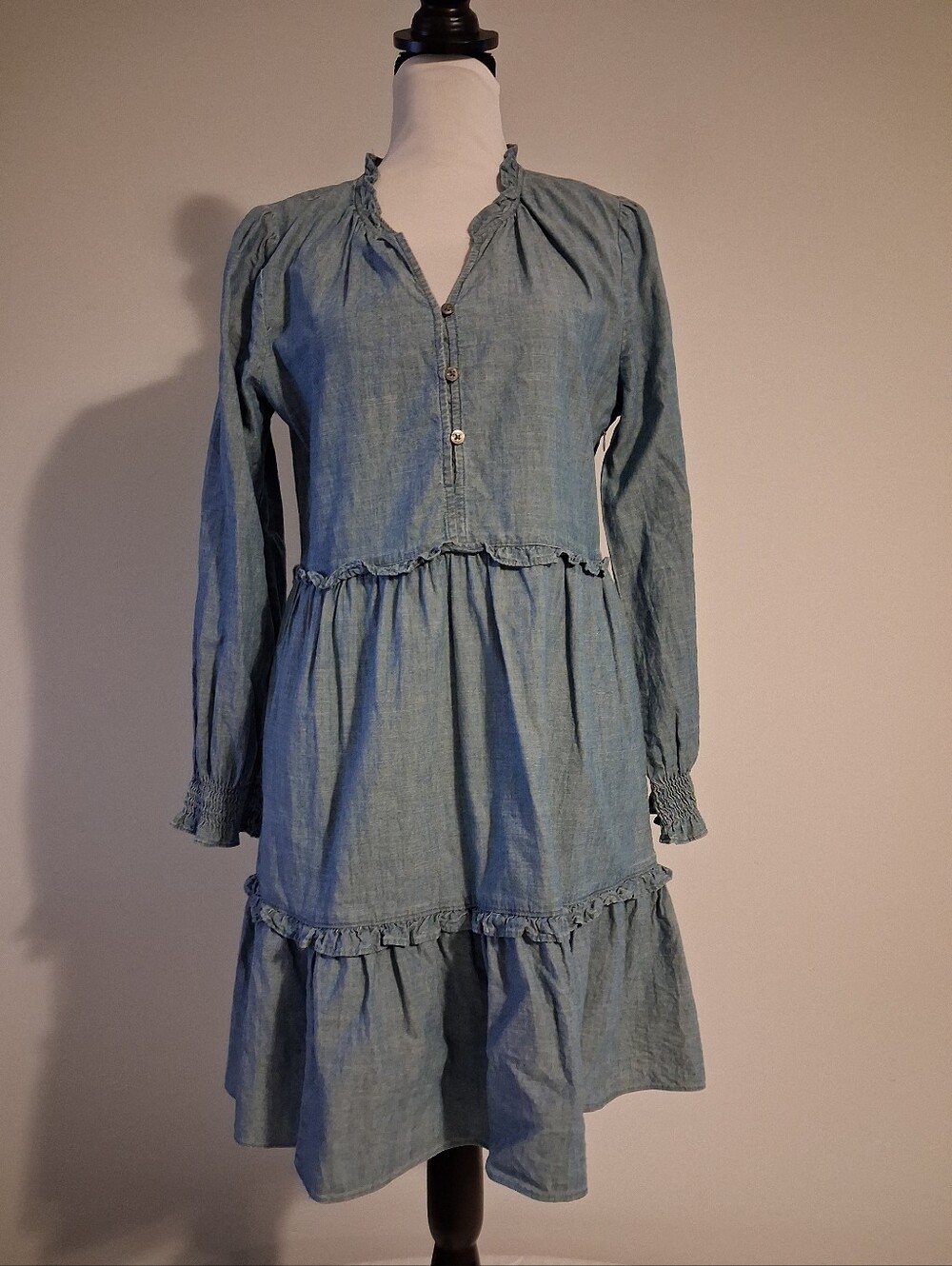 J. Crew Chambray Blue Button-Front Dress